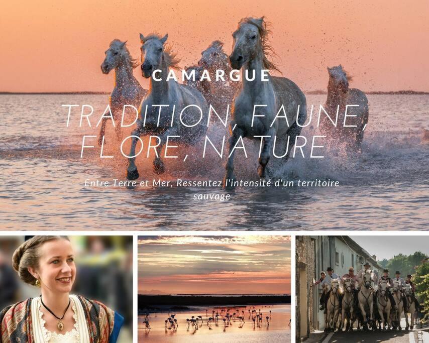 Le Jamaique * Clim * Terrasse * Plage A 10 Min ラ・グランド・モット エクステリア 写真