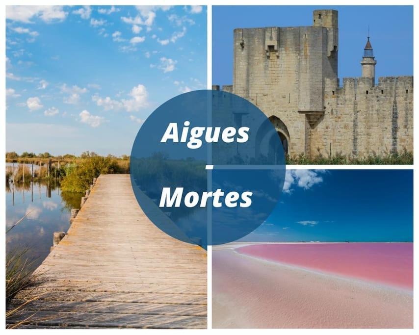 Le Jamaique * Clim * Terrasse * Plage A 10 Min ラ・グランド・モット エクステリア 写真