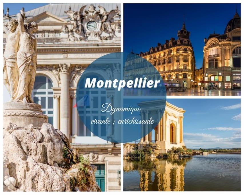Le Jamaique * Clim * Terrasse * Plage A 10 Min ラ・グランド・モット エクステリア 写真